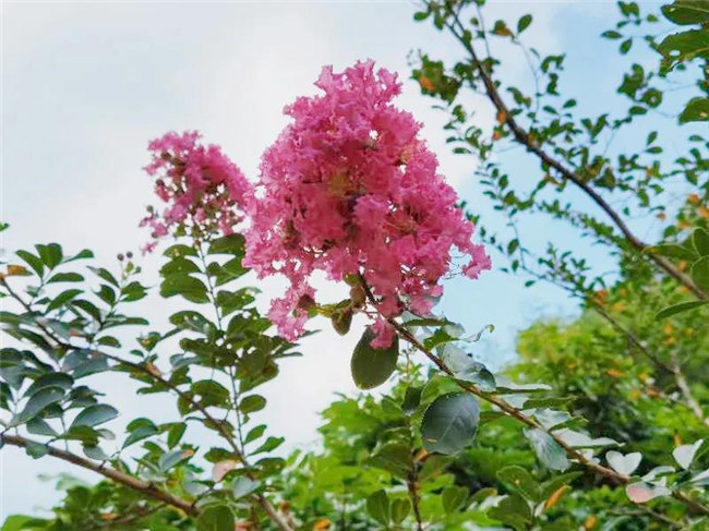 呼吸鮮氧，踐行公益——廣東博皓公益活動(dòng)：星溪線公益環(huán)保活動(dòng)   -5