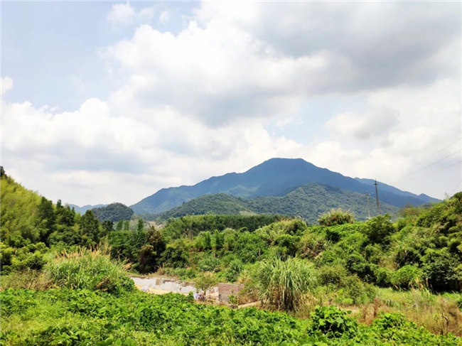 呼吸鮮氧，踐行公益——廣東博皓公益活動(dòng)：星溪線公益環(huán)?；顒?dòng)   -6