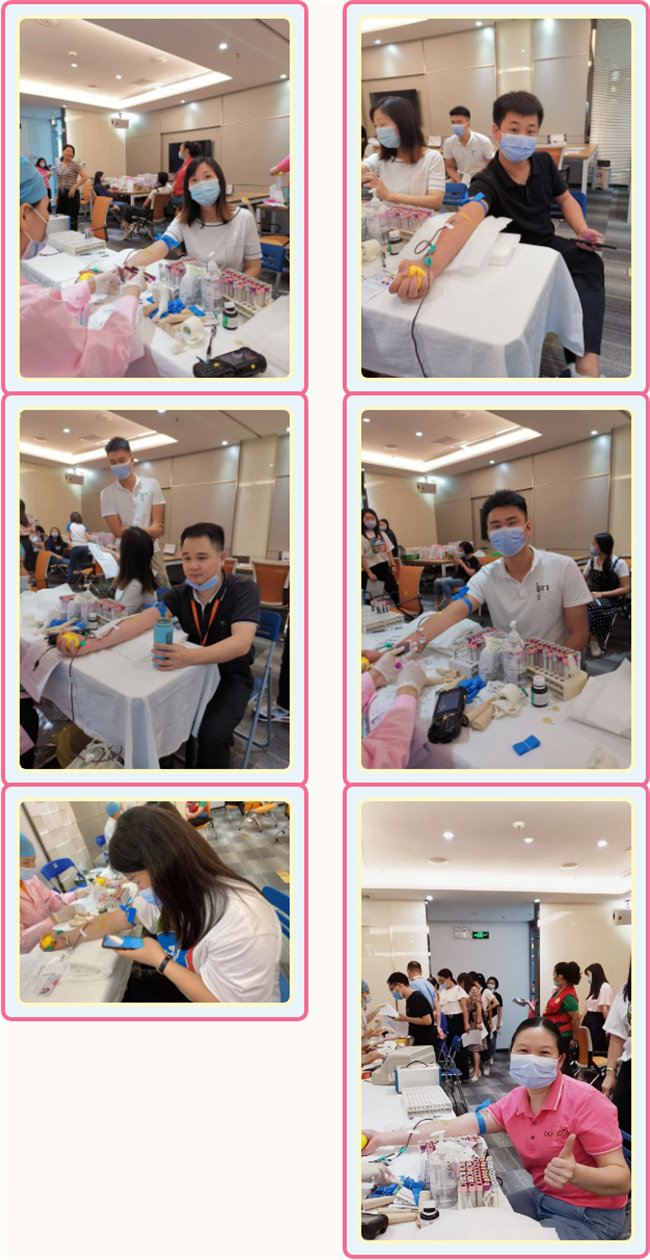捐獻青春熱血，彩繪人生畫卷——廣東博皓總班委組織了一次“捐我熱血，呵護生命”的無償獻血公益活動    -3