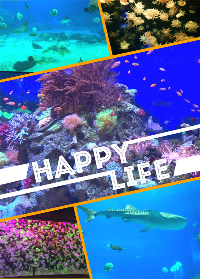 廣東博皓親子游：珠海長(zhǎng)隆海洋王國(guó)，探索海洋生物的奧秘，奇妙的動(dòng)物世界