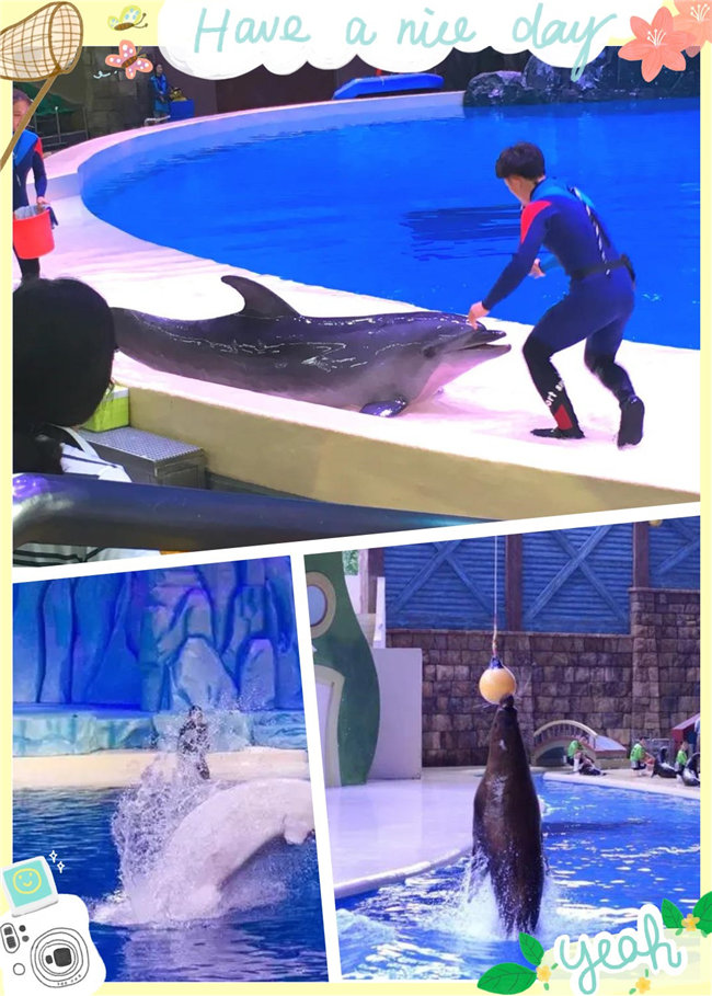 廣東博皓親子游：珠海長(zhǎng)隆海洋王國(guó)，探索海洋生物的奧秘，劇場(chǎng)表演