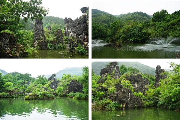 多彩貴州，魅力天下，2021年廣東博皓快樂貴州行-5