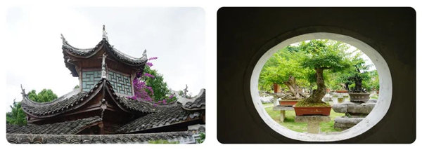 多彩貴州，魅力天下，2021年廣東博皓快樂貴州行-14