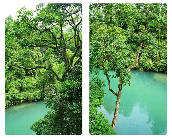 多彩貴州，魅力天下，2021年廣東博皓快樂貴州行-29