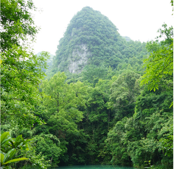 賞華夏大地，游多彩貴州-－2021年廣東博皓快樂行-2