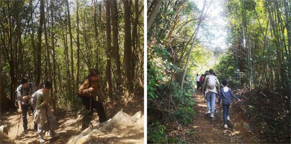 廣東博皓 博行天下丨虎年第一爬，挑戰(zhàn)從化老虎頭   -2