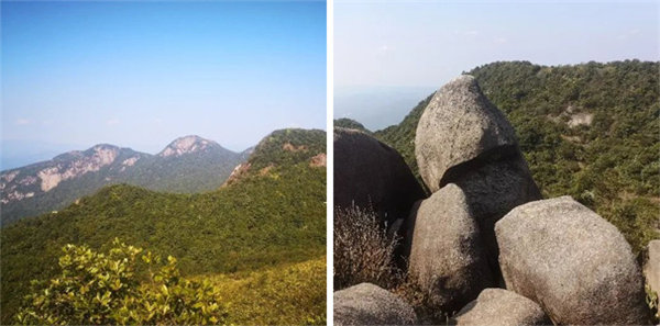 廣東博皓 博行天下丨虎年第一爬，挑戰(zhàn)從化老虎頭   -4