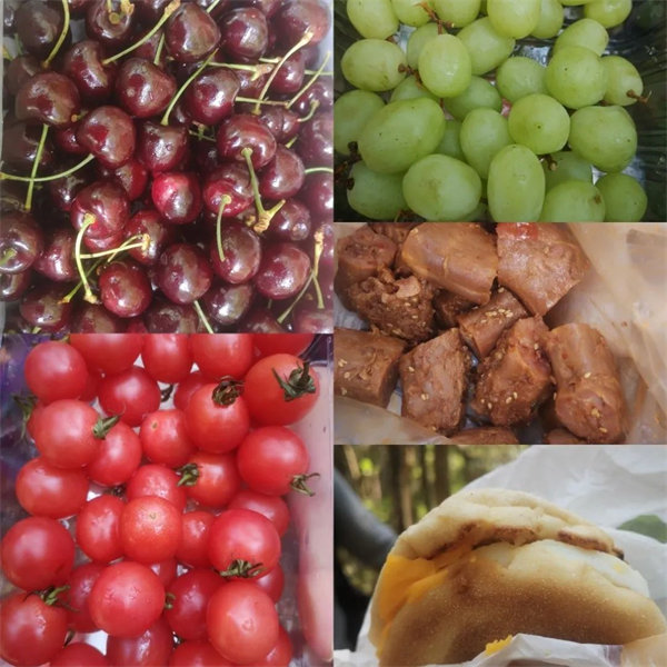 廣東博皓 博行天下丨虎年第一爬，挑戰(zhàn)從化老虎頭   -5