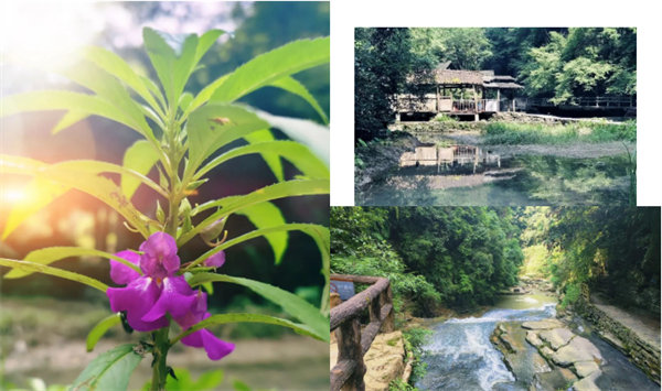 “湘”約鳳凰，相守未來——2022博皓快樂湖南行    -34