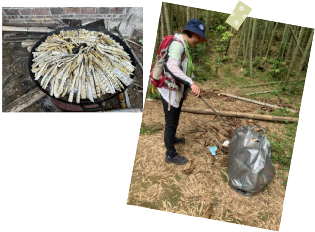 生命和綠色擁抱，人類與生態(tài)共存——2023年廣東博皓公益活動   -6