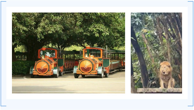 大手牽小手，快樂親子游！廣東博皓2023年親子游活動        -7