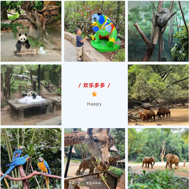 大手牽小手，快樂親子游！廣東博皓2023年親子游活動        -8