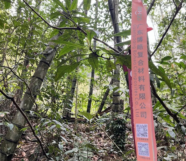 凝心聚力再出發(fā)，風雨同舟赴星溪！--廣東博皓2024龍年首登星溪之旅     -2