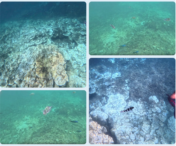 風(fēng)雨兼程二十載，馬來之旅續(xù)新篇——2024年博皓沙巴風(fēng)情之旅     -6