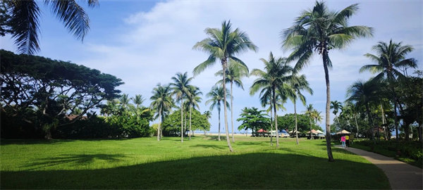 廿載風(fēng)云一路行，馬來(lái)風(fēng)情共見(jiàn)證——2024廣東博皓馬來(lái)西亞之旅   -25