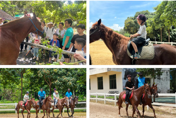 趣游盛夏，一路童行—2024年廣東博皓親子游   -10