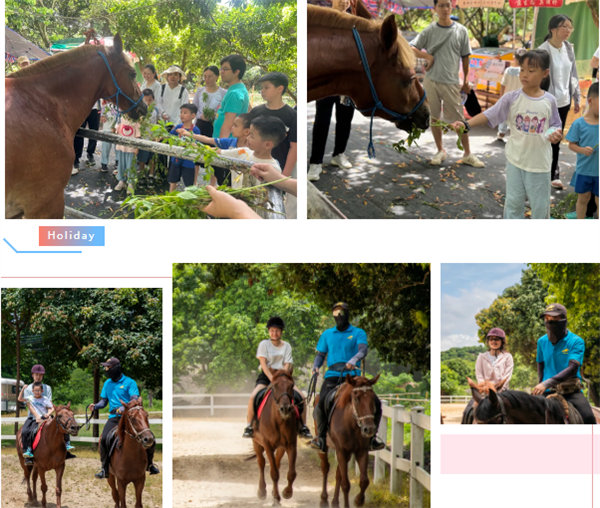 廿載博皓盛夏日，親子相伴歡樂(lè)行—2024年廣東博皓親子游    -7