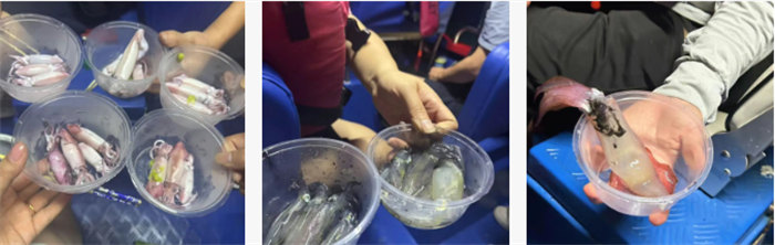 攜手博皓逐夢(mèng)行，巽寮灣上展豪情—廣東博皓2025年巽寮灣之旅    -10