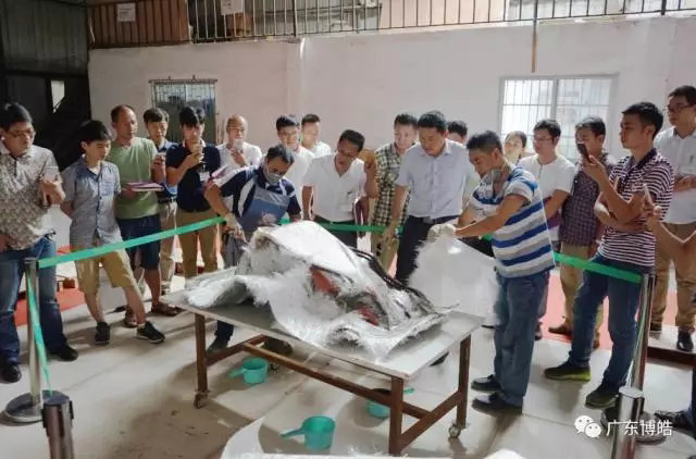 中國不飽和聚酯樹脂行業(yè)協(xié)會 華南玻璃鋼新技術交流培訓中心第三期玻璃鋼模具制作培訓班-16