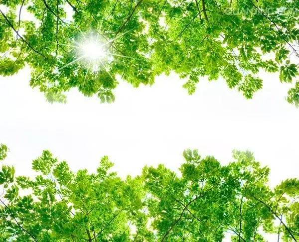 人生實(shí)苦，但請(qǐng)你足夠相信！